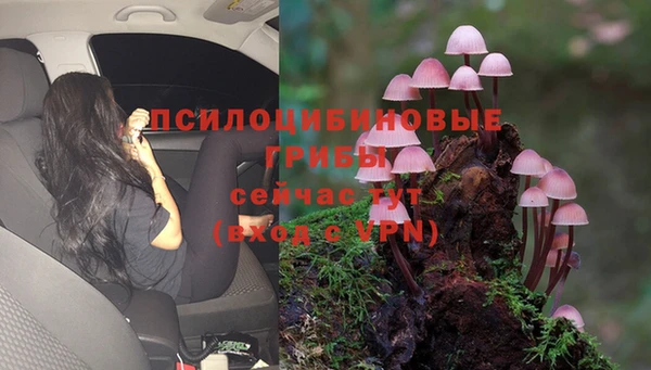 тгк Абдулино