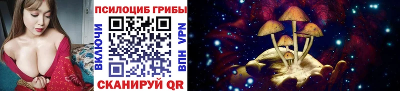 Псилоцибиновые грибы Psilocybine cubensis  где найти   Сергач 